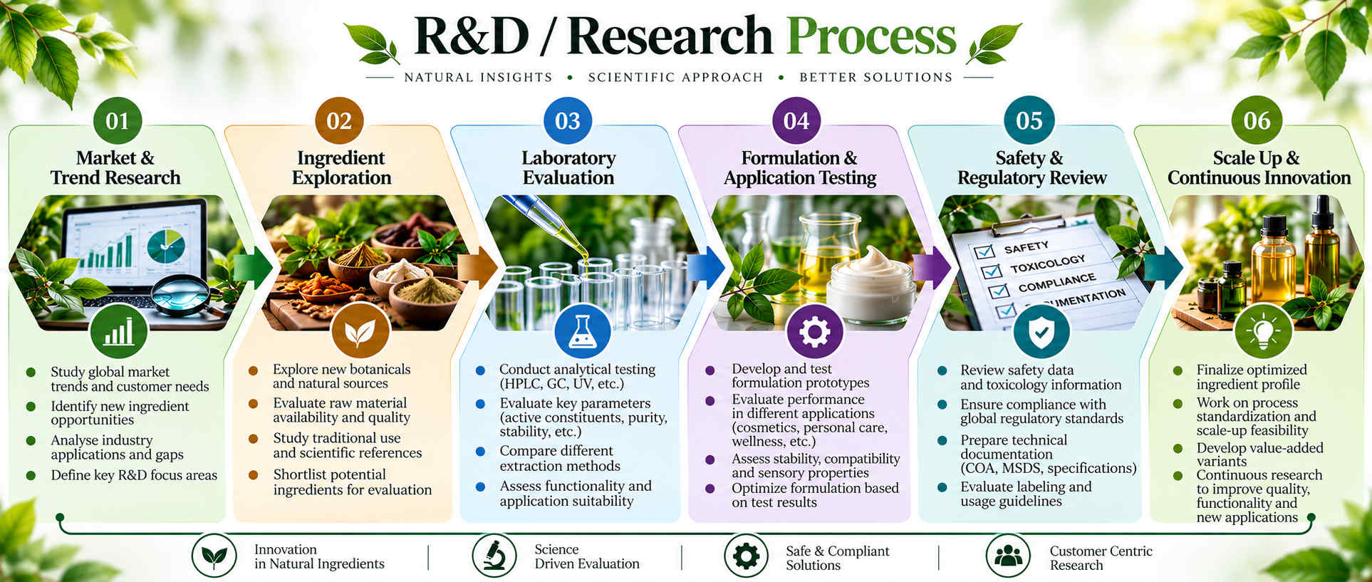 Harmony Mists R&D / Research Process Infographic