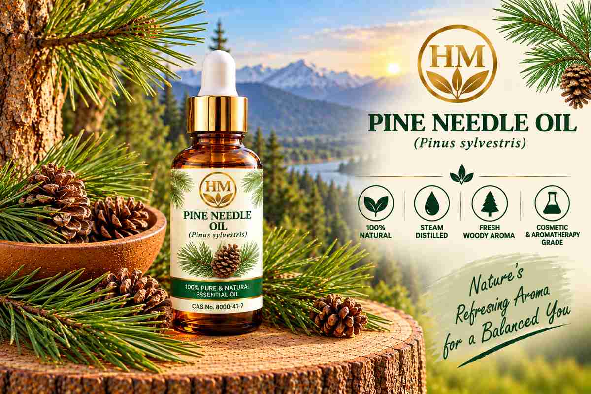 Pine Needle Oil