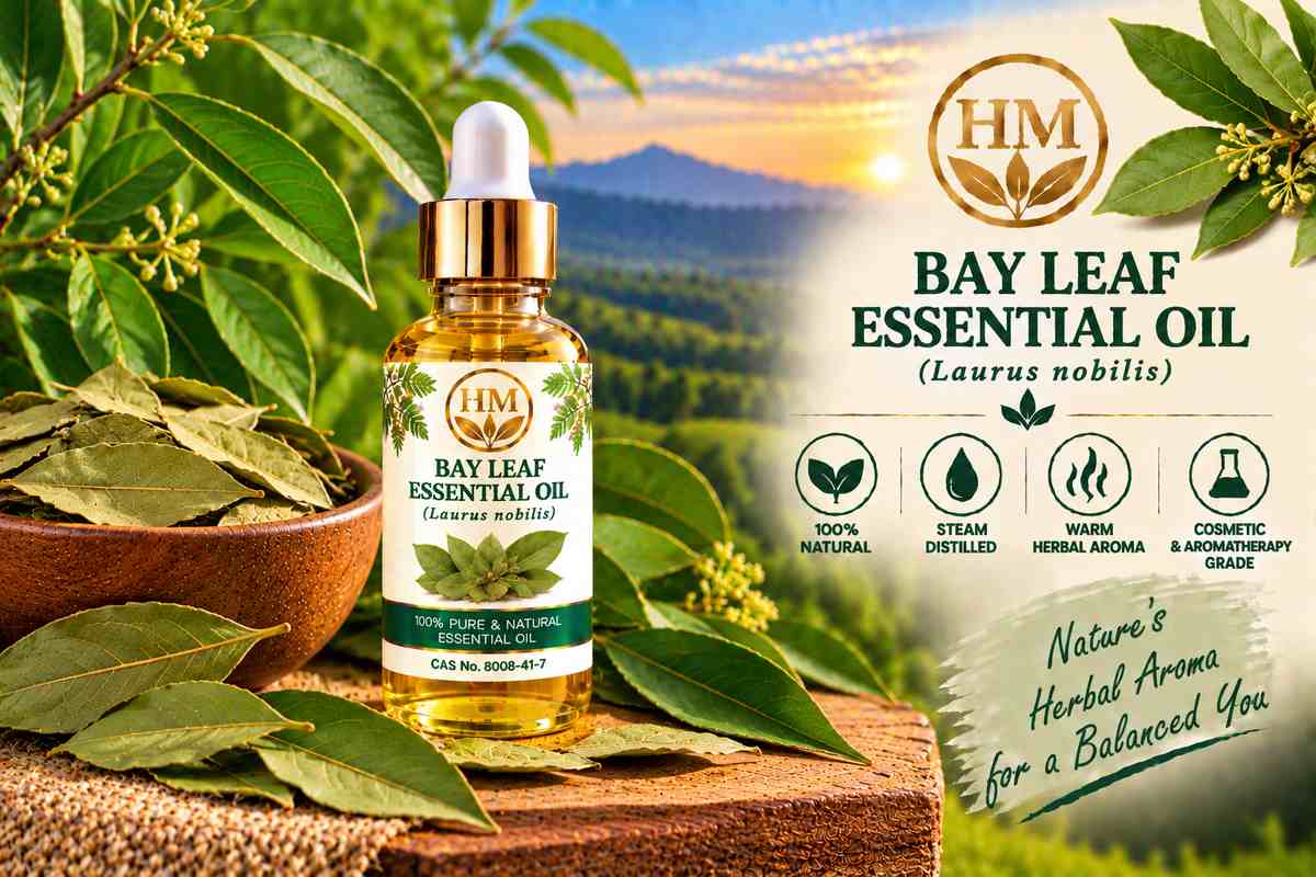 Bay Leaf Oil
