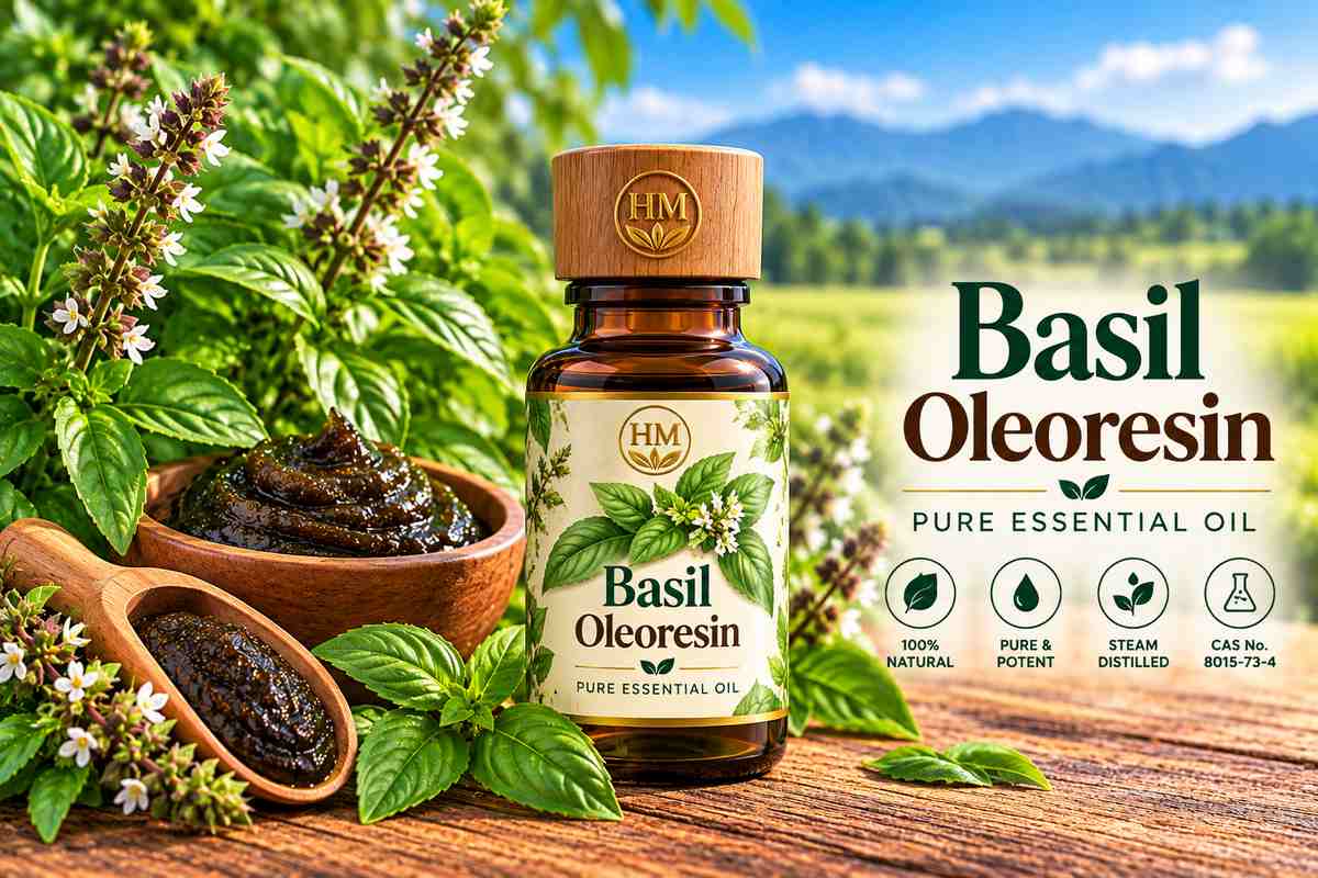 Basil Oleoresin