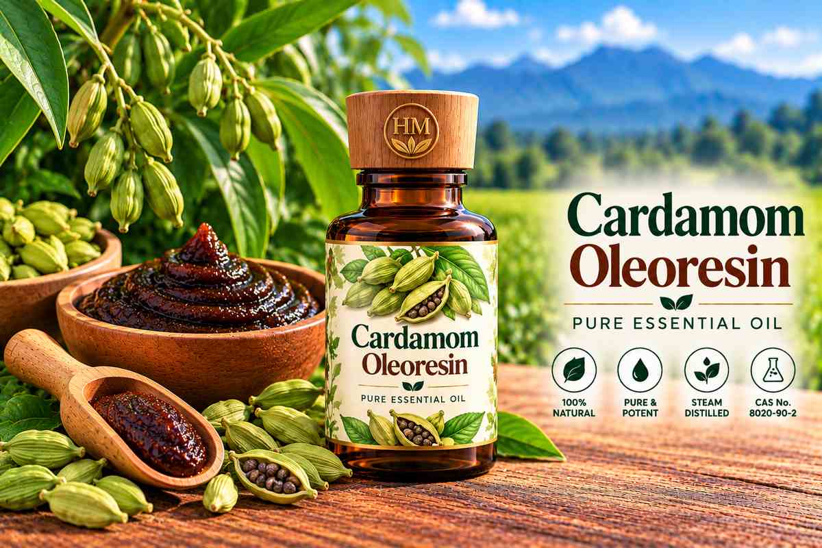 Cinnamon Oleoresin